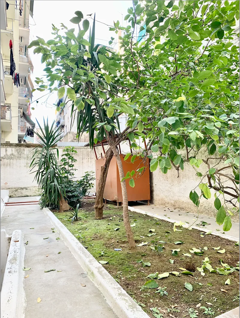 Garden View Studio — 12