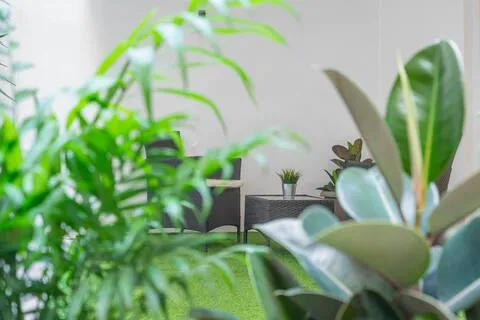 Small studio with Big Garden — 2