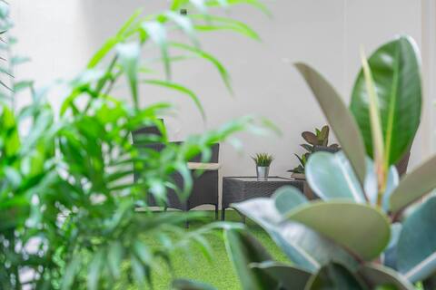 Small studio with Big Garden — 2